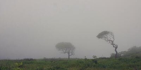 Прохладная погода ожидается в Приморье в первые выходные лета