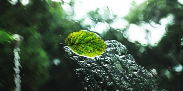 Завтра в Приморье пройдут дожди