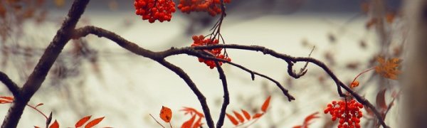 23 сентября наступил день осеннего равноденствия