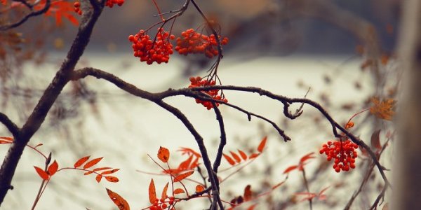 23 сентября наступил день осеннего равноденствия