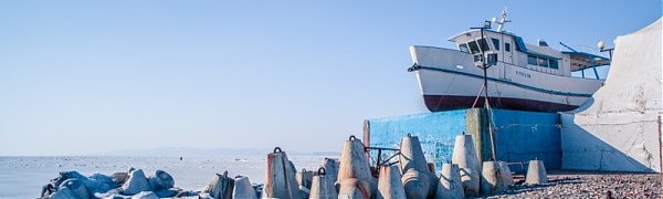 Дневные температуры воздуха в Приморье продолжают повышаться