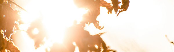 В выходные дни в южных районах Приморья ожидаются оттепели