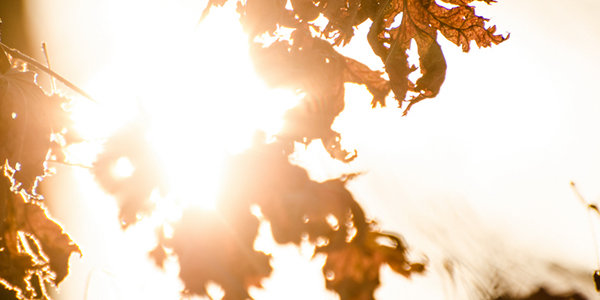 В выходные дни в южных районах Приморья ожидаются оттепели