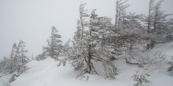 Высота снежного покрова в Приморье местами достигает 55 см