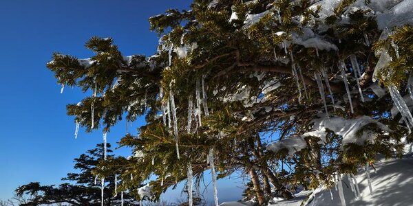 От небольшого потепления до сильных морозов: всё о погоде в Приморье в первую неделю февраля