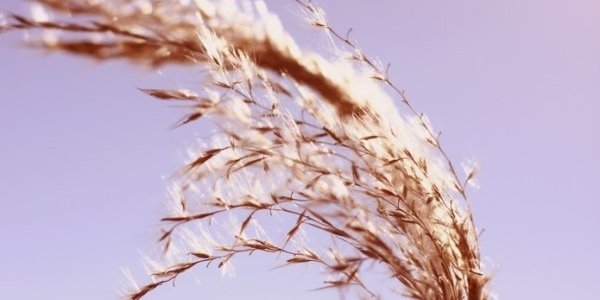 В Приморье сегодня холодно и ветрено