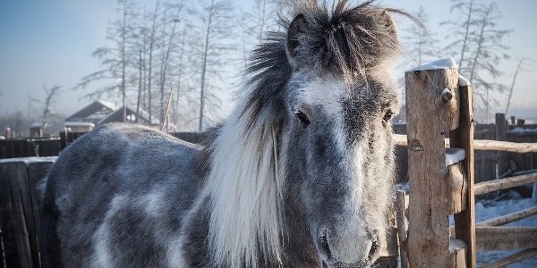 На Дальнем Востоке зафиксированы первые 40-градусные морозы