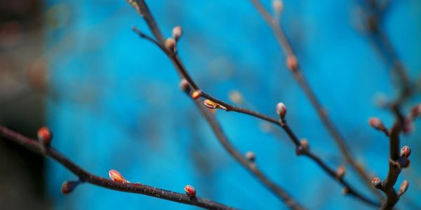 Переменчивый апрель: какая погода ждёт Приморье в выходные