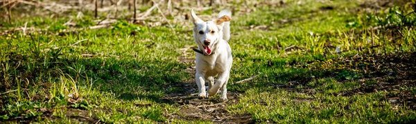 На следующей неделе в Приморье сохранится неустойчивая погода