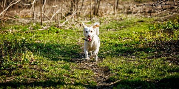 На следующей неделе в Приморье сохранится неустойчивая погода