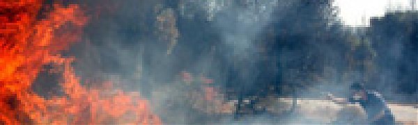 К пригороду Афин подбирается пожар