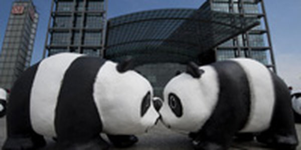 WWF отпраздновал юбилей с пандами