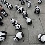 WWF отпраздновал юбилей с пандами
