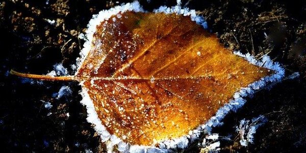 Непростые по погоде ожидаются выходные дни в Приморье и Владивостоке