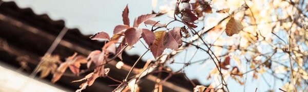 Погода в Приморье на этой неделе удивит своим непостоянством: подробный прогноз