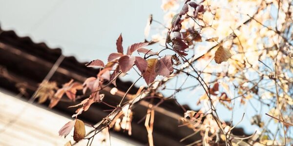 Погода в Приморье на этой неделе удивит своим непостоянством: подробный прогноз