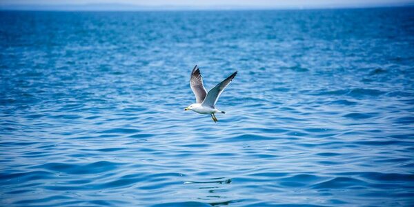 Новая рабочая неделя началась в Приморье со спокойной и солнечной погоды
