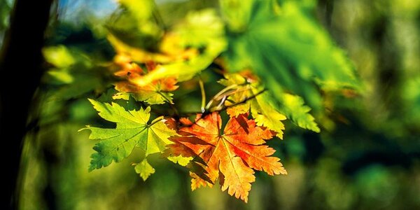 В середине недели Приморье ощутит первое дыхание осени