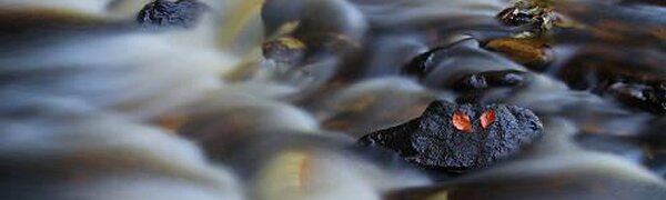 На юге Приморья сохранятся небольшие подъёмы уровня рек