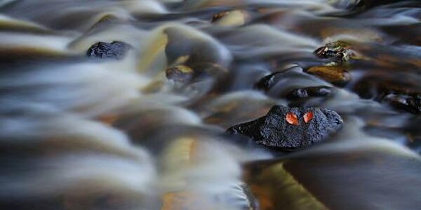 На юге Приморья сохранятся небольшие подъёмы уровня рек