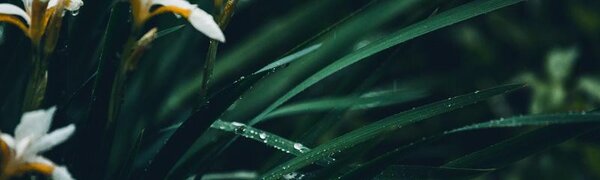 В августе во Владивостоке был установлен абсолютный рекорд по осадкам