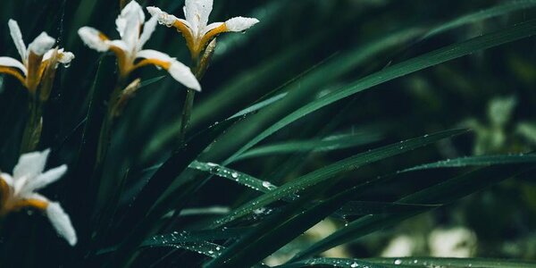 В августе во Владивостоке был установлен абсолютный рекорд по осадкам