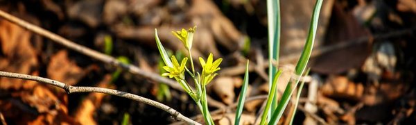 Приморские синоптики дали прогноз на первые выходные апреля
