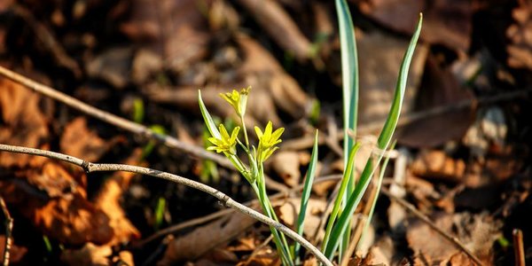 Приморские синоптики дали прогноз на первые выходные апреля
