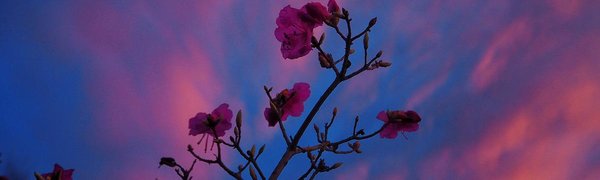 Значительного потепления в Приморье пока не ожидается