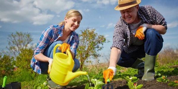 Дачники Владивостока, участвуйте в конкурсе и получайте ценные подарки!