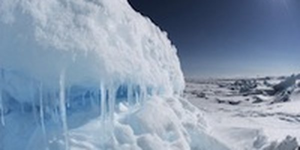 Ученые: Льды Арктики растают уже через 10 лет