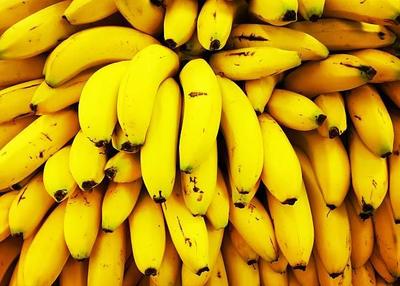 В ООН заявили, что бананы скоро исчезнут навсегда