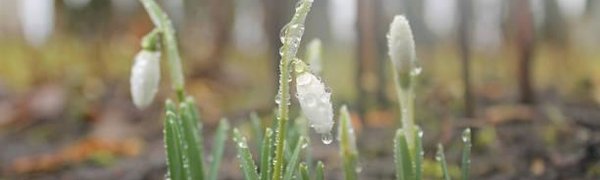 Погода на Дальнем Востоке продолжает ставить рекорды тепла