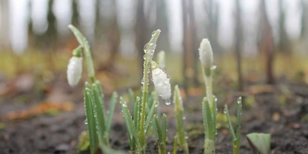 Погода на Дальнем Востоке продолжает ставить рекорды тепла
