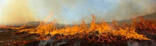 Окутавший Владивосток дым от лесных пожаров развеет южный ветер