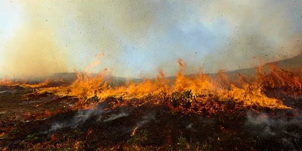 Окутавший Владивосток дым от лесных пожаров развеет южный ветер