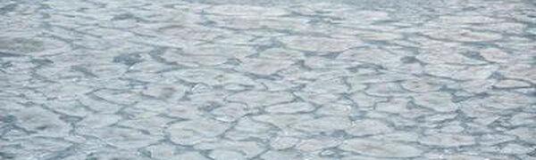 Внимание! В Амурском заливе образовались трещины припайного льда