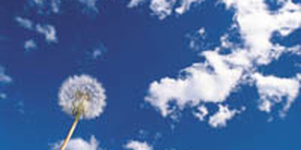 Солнечная погода придет в Приморский край после дождя