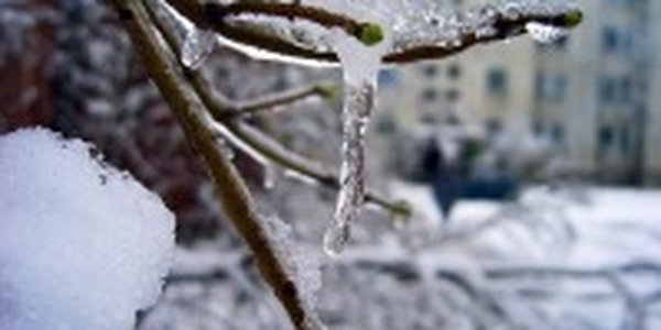 Первая декада февраля в Приморье выдалась холодной и малоснежной