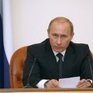 По словам Путина, площадь заповедников в России увеличится на 20%
