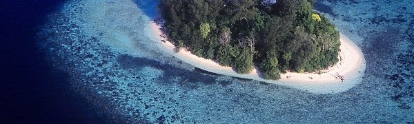 В Тихом океане исчезло пять островов