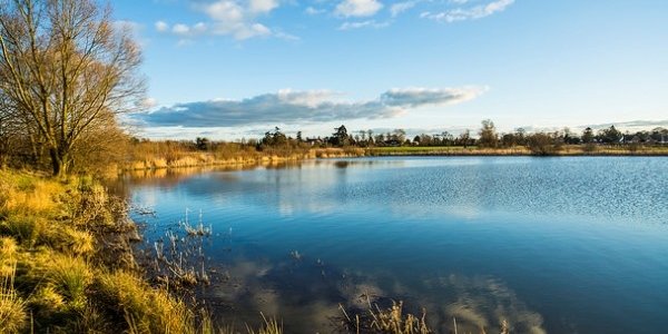 В Приморье ожидаются подтопления из-за дождей и подъёма уровня рек