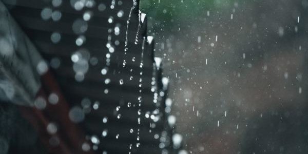 Тайфун «Непартак» не окажет значительного влияния на погоду Приморья