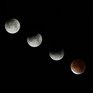 Ученые вычислили даты лунных затмений 2015 года