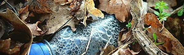 Учёные подсчитали, сколько пластика произвели люди