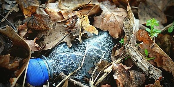 Учёные подсчитали, сколько пластика произвели люди