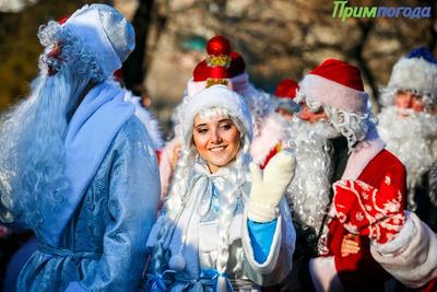 «Победа» бесплатно перевезёт пассажиров в костюме Деда Мороза или Снегурочки
