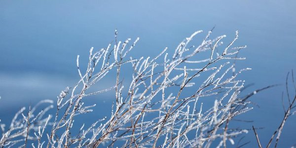 Последние выходные декабря запомнились в Приморье контрастной погодой