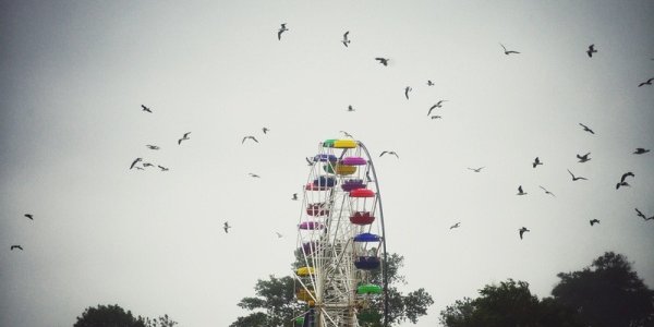 Во Владивостоке выходные будут пасмурными, но теплыми