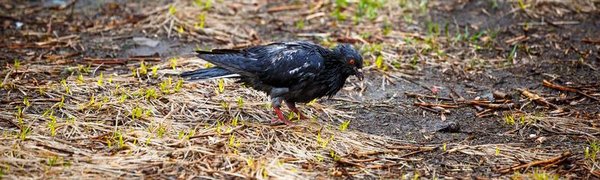 Во второй половине недели в Приморье пройдут дожди